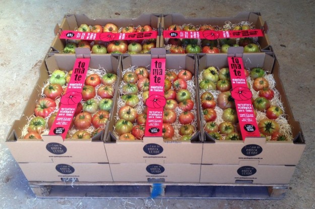 quetequieroverde-tomates-ecologicos-slowfood-ribagorza