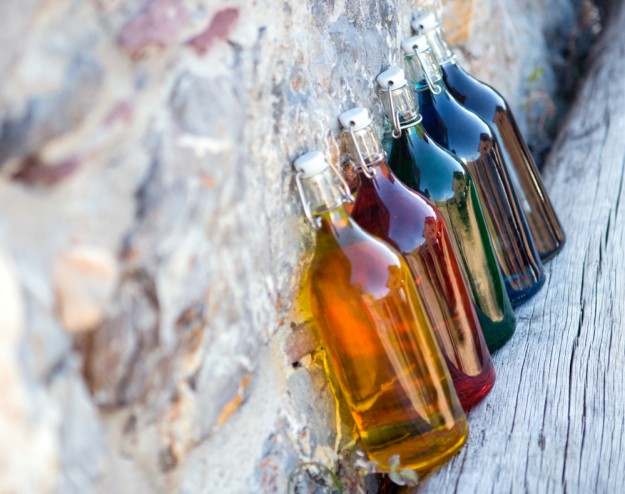 slow food convivium ribagorza casa javier productos colores 01