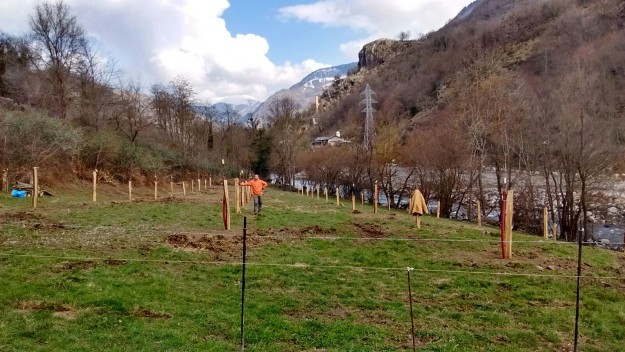 slow food ribagorza arandeterra henning gerdt pomes aran 07